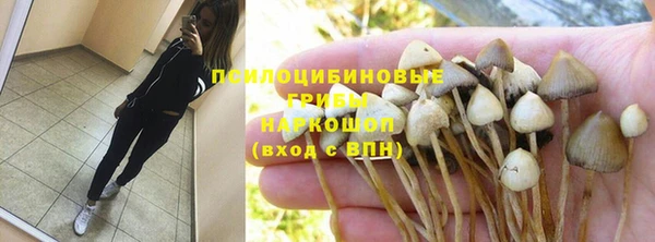 ГАЛЛЮЦИНОГЕННЫЕ ГРИБЫ Покровск