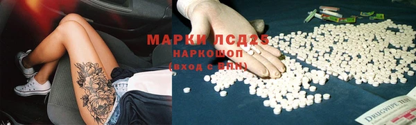 ГАЛЛЮЦИНОГЕННЫЕ ГРИБЫ Покровск