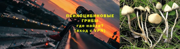 прущие крисы Покачи