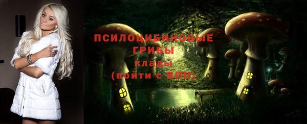 прущие крисы Покачи