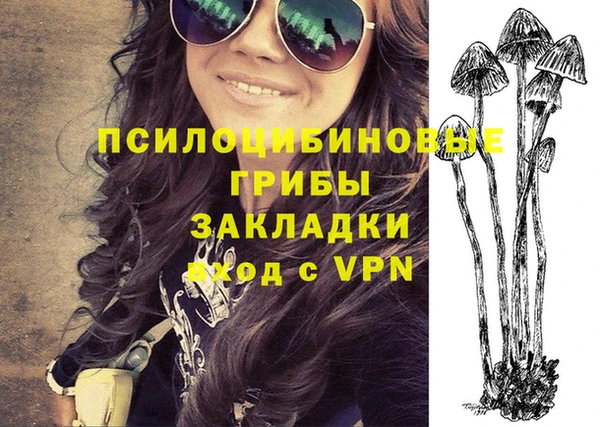 ГАЛЛЮЦИНОГЕННЫЕ ГРИБЫ Покровск