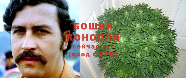 прущие крисы Покачи