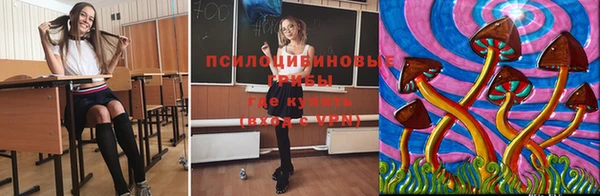ГАЛЛЮЦИНОГЕННЫЕ ГРИБЫ Покровск