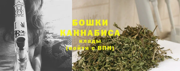 ГАЛЛЮЦИНОГЕННЫЕ ГРИБЫ Покровск