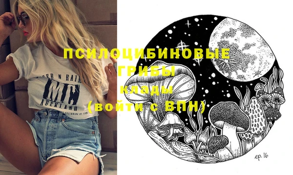 ГАЛЛЮЦИНОГЕННЫЕ ГРИБЫ Покровск