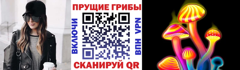MEGA маркетплейс  Хилок  Галлюциногенные грибы прущие грибы 