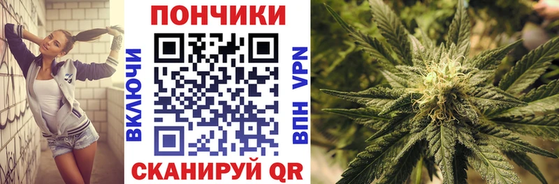 ссылка на мегу вход  магазин продажи наркотиков  Хилок  Бошки Шишки MAZAR 
